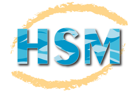 logo hsm 570x380